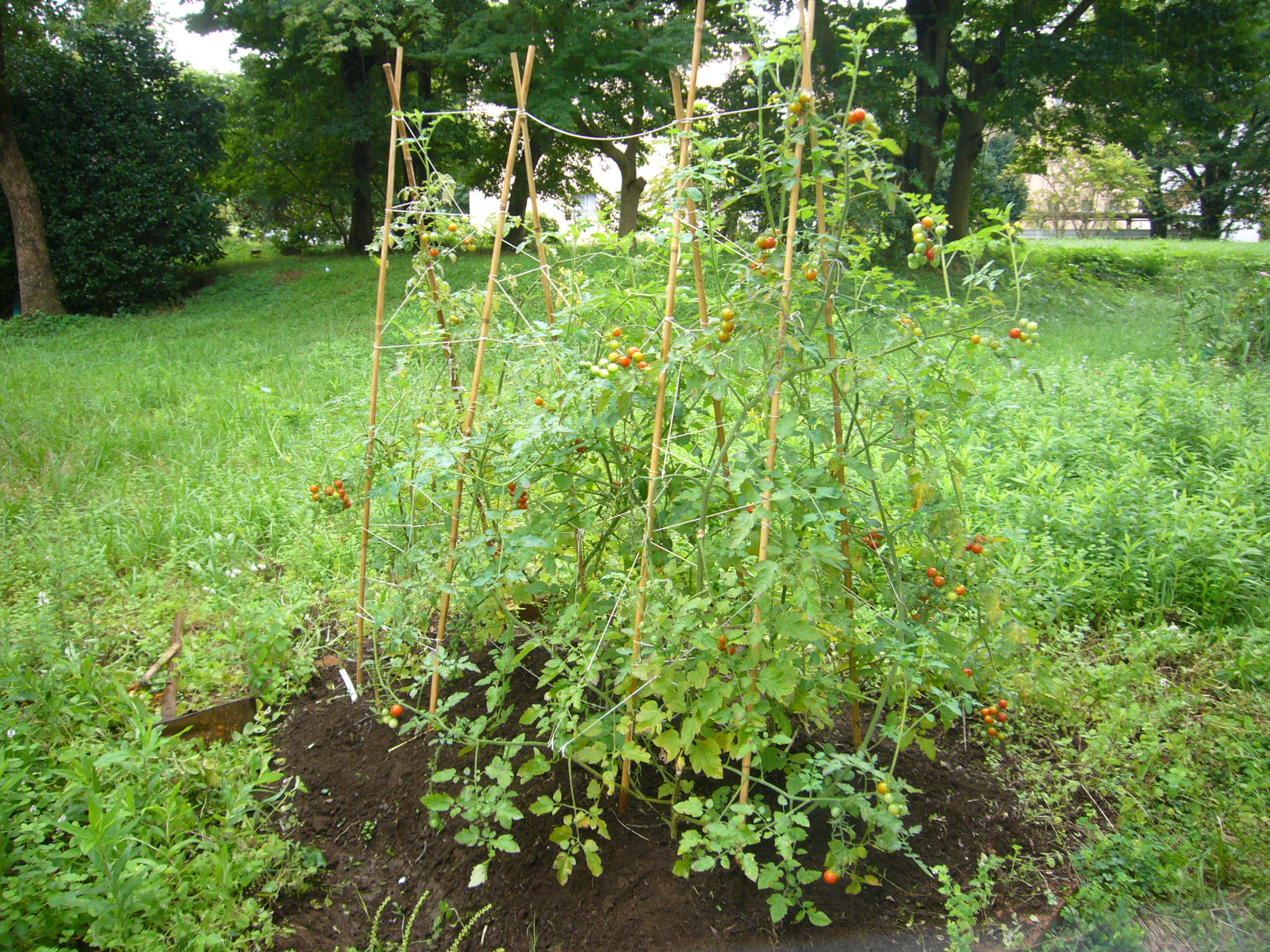P1370796