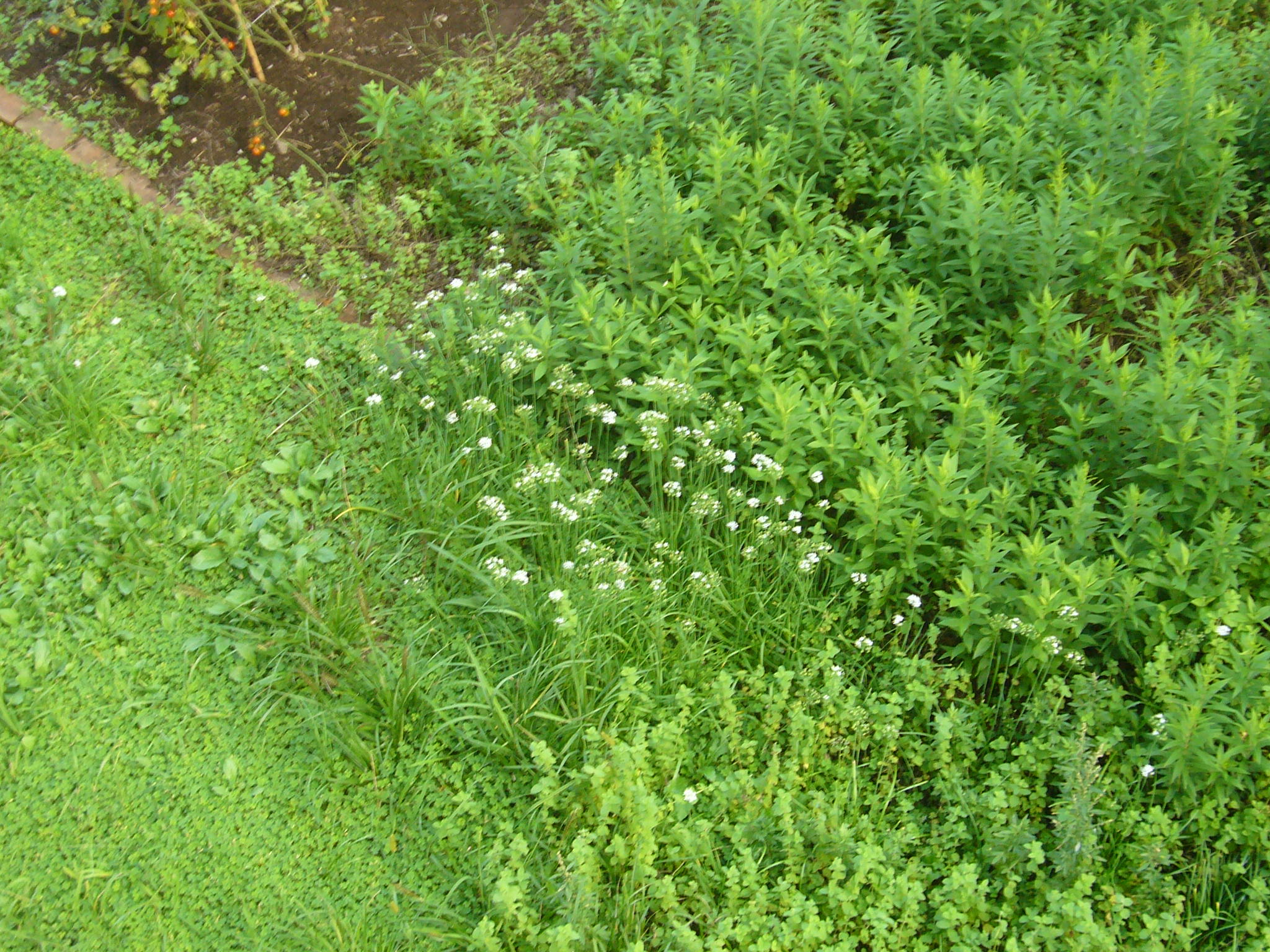P1390543