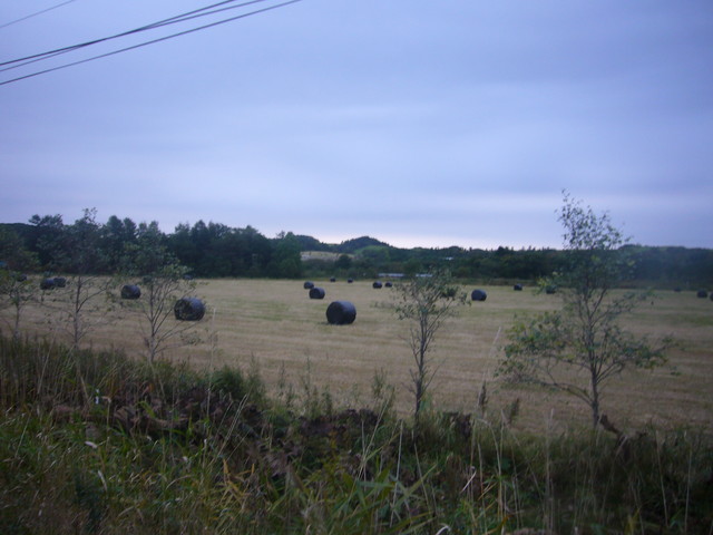 P1400270