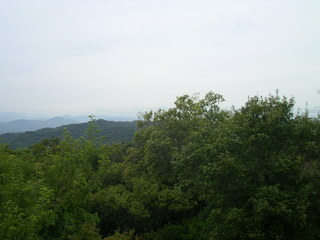 SANY3137_j2.JPG