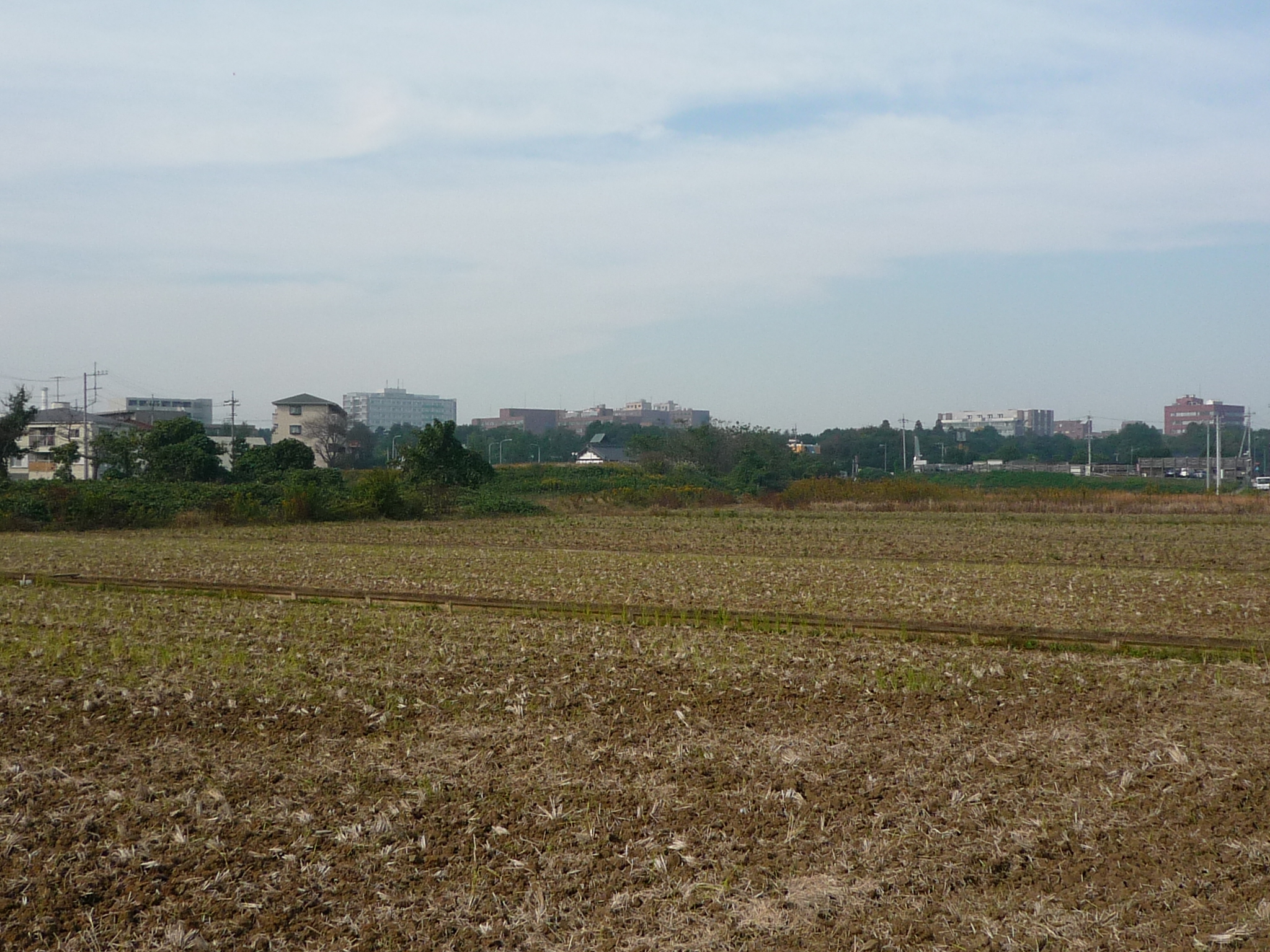 P1000091_fx37
