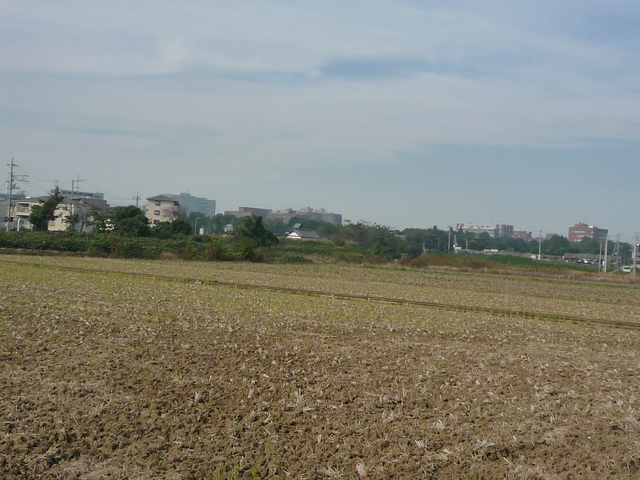 P1000090_fx37
