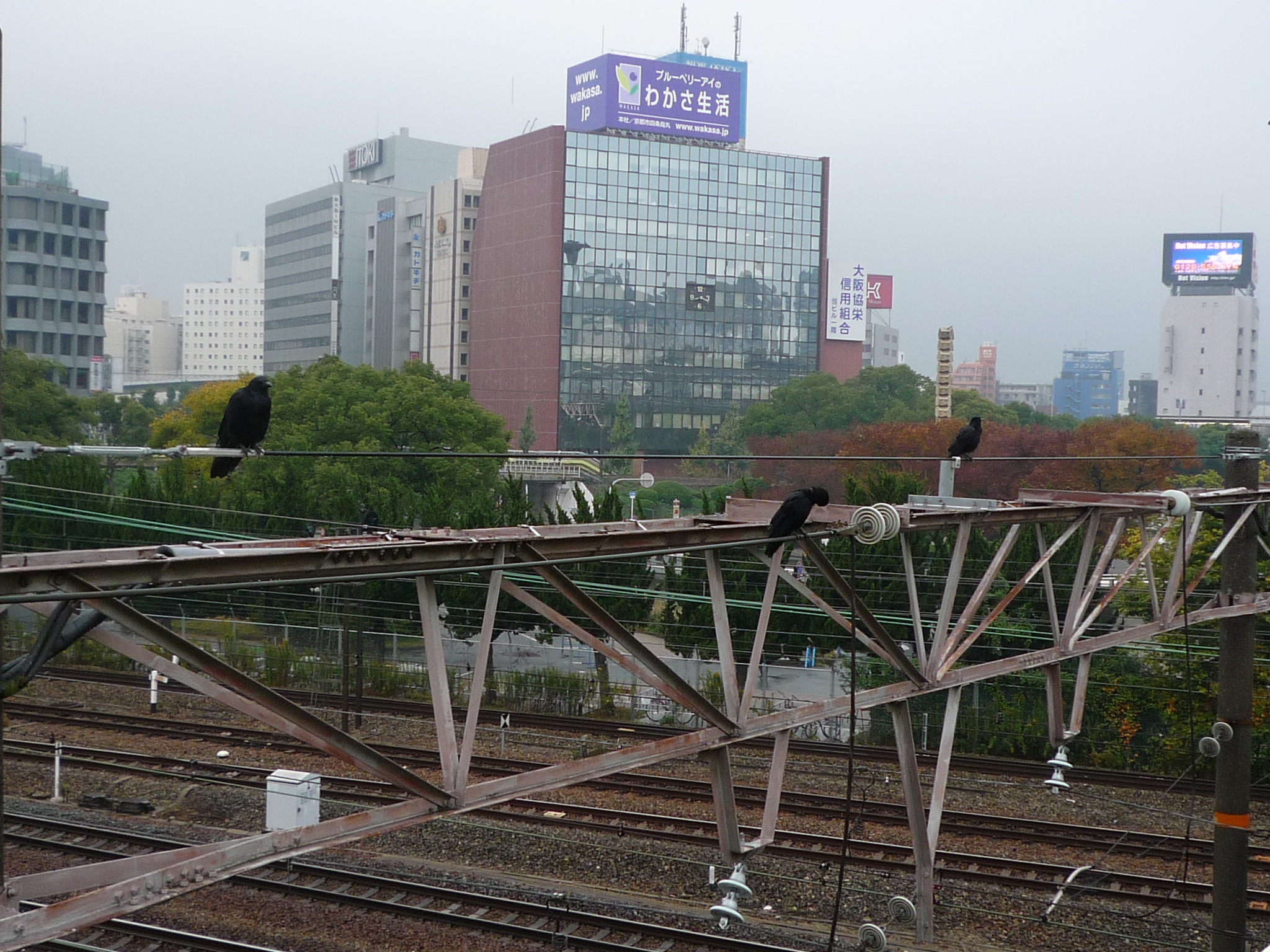 P1000583