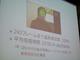 P1010650.MOV