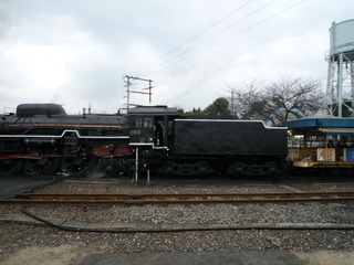 P1010767.JPG