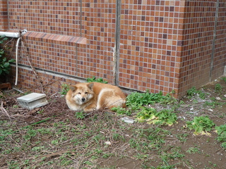 P1020779.JPG