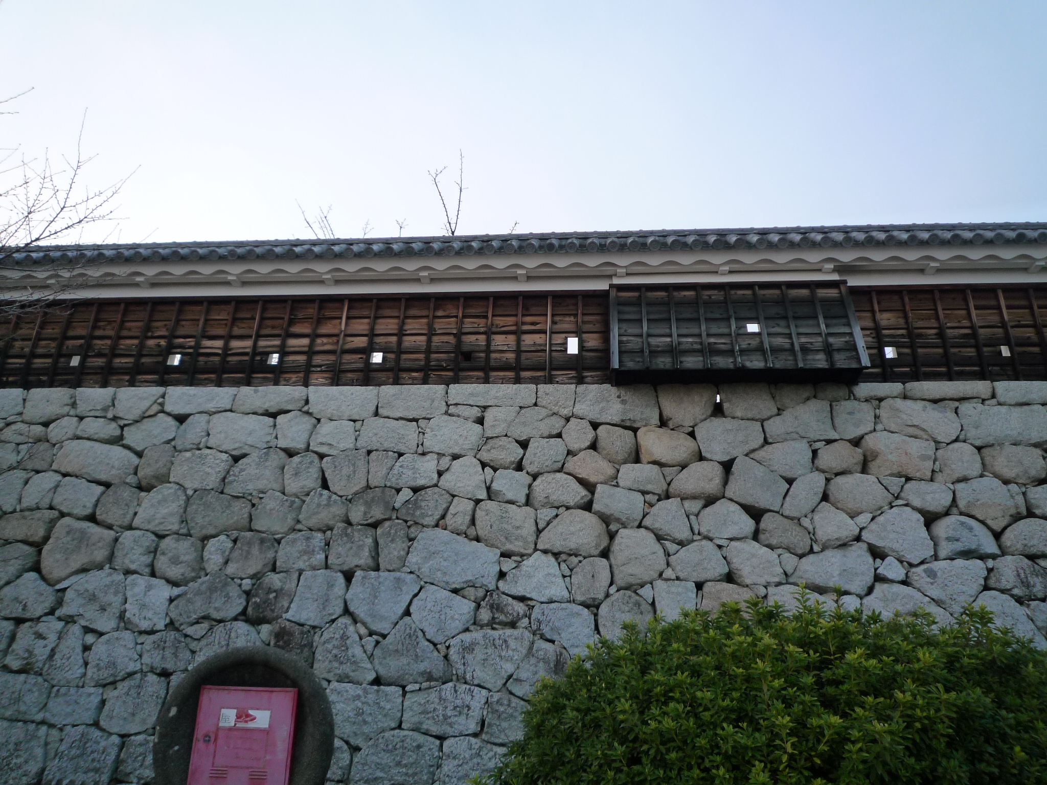 P1040262_fx37