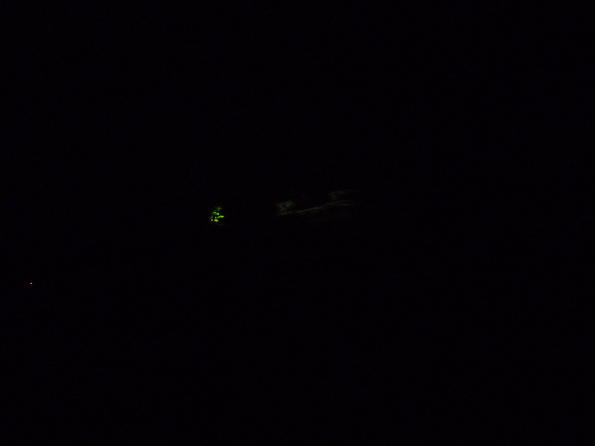 P1040315_fx37