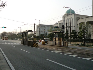 P1040180_fx37.JPG