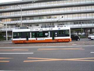 P1040185_fx37.JPG