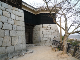 P1040212_fx37.JPG