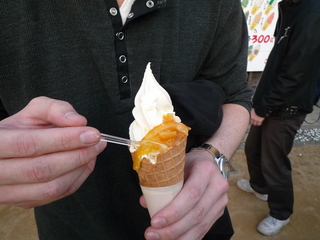 P1040219_fx37.JPG
