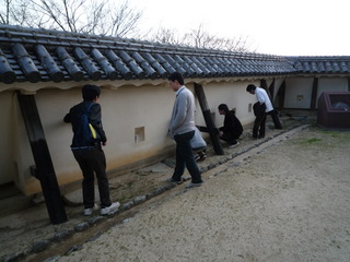 P1040229_fx37.JPG