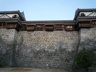 P1040232_fx37.JPG