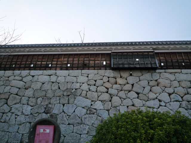 P1040262_fx37