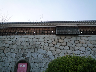 P1040262_fx37.JPG