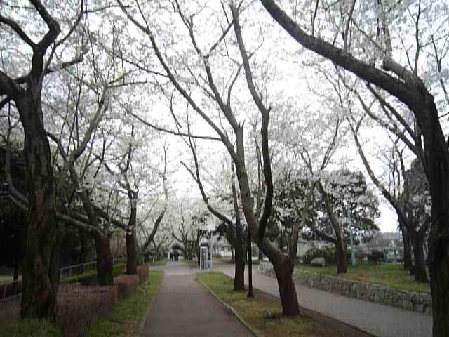 P1050338