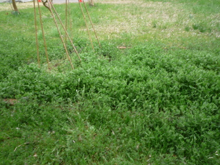P1050371.JPG