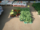 P1050774_fx37.JPG