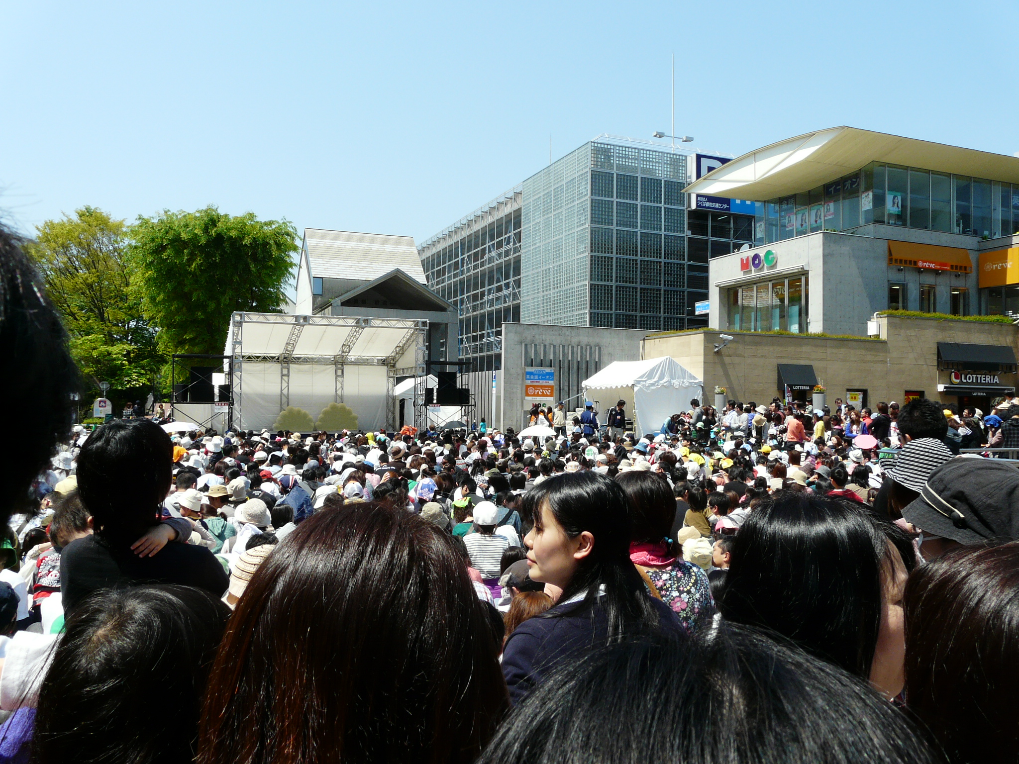 P1010524_fz18
