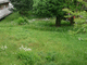 P1060572-fx37.JPG