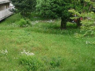 P1060572-fx37.JPG