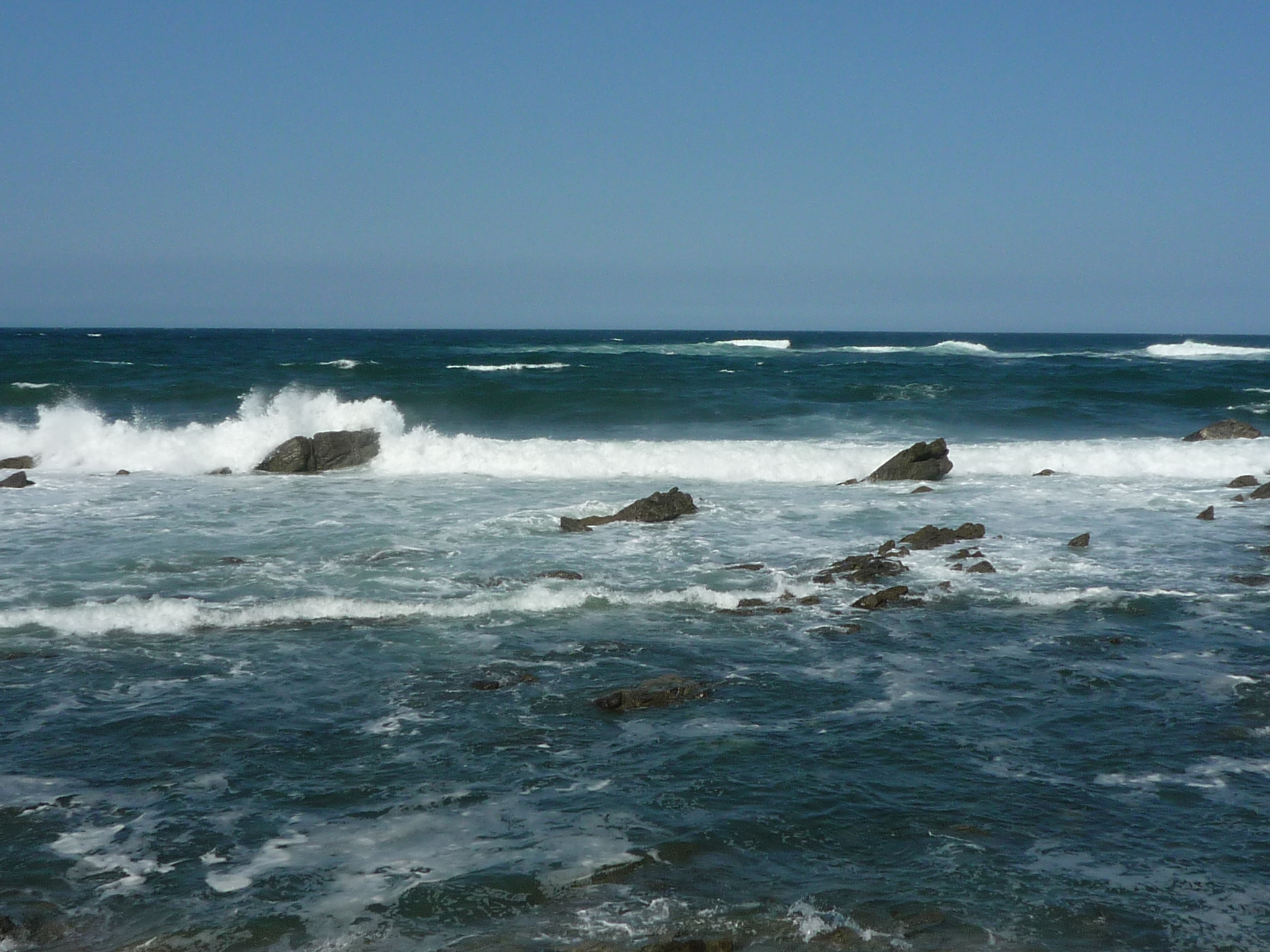 P1070134-fx37