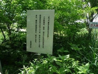 P1070622-fx37.JPG