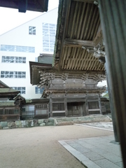 P1090293-fx37.JPG