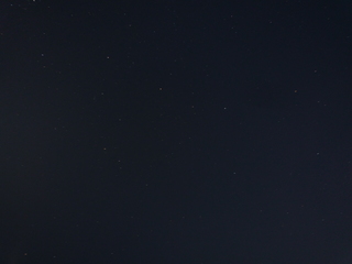 P1110049-fx37.JPG