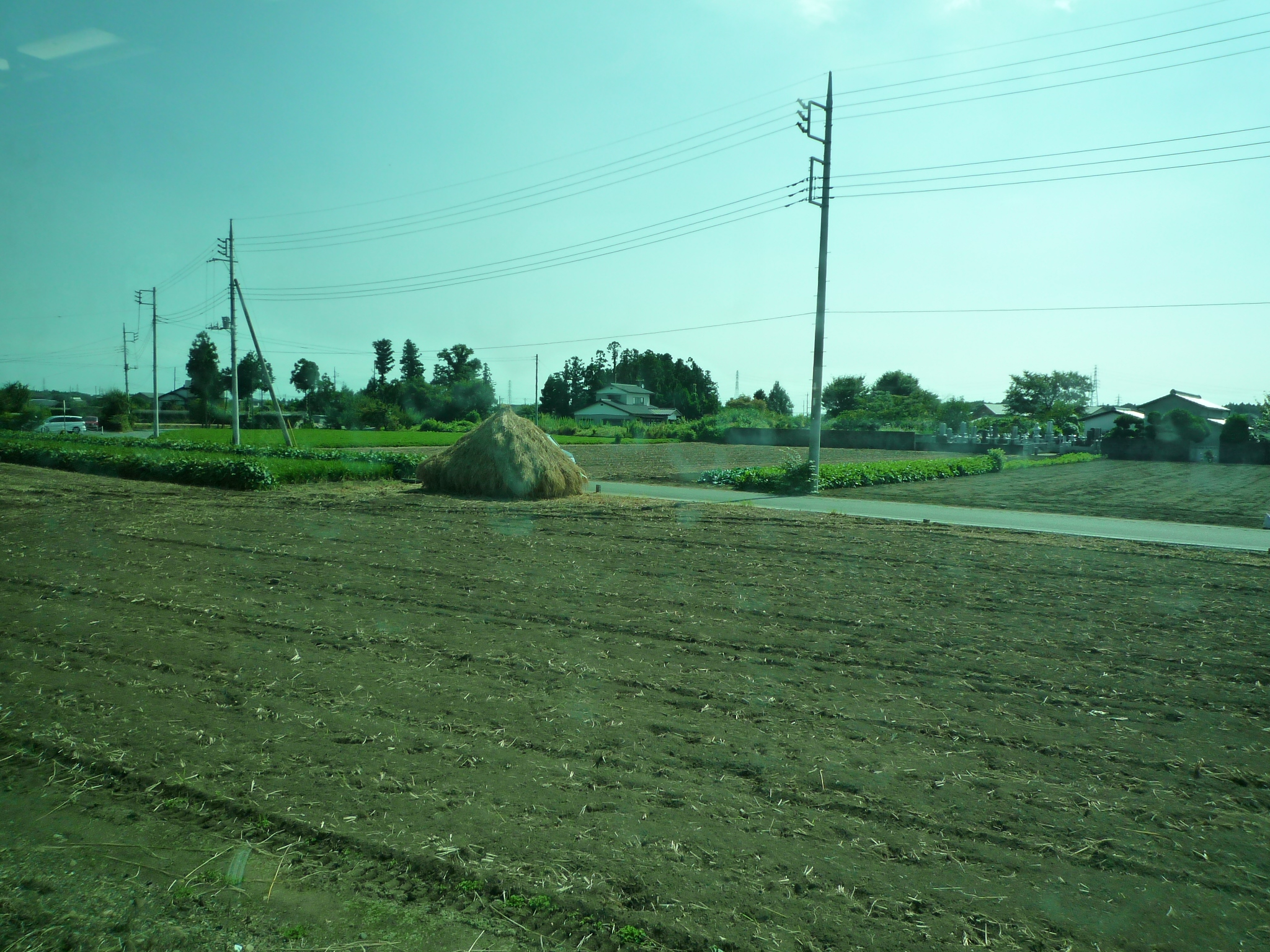 P1120077-fx37