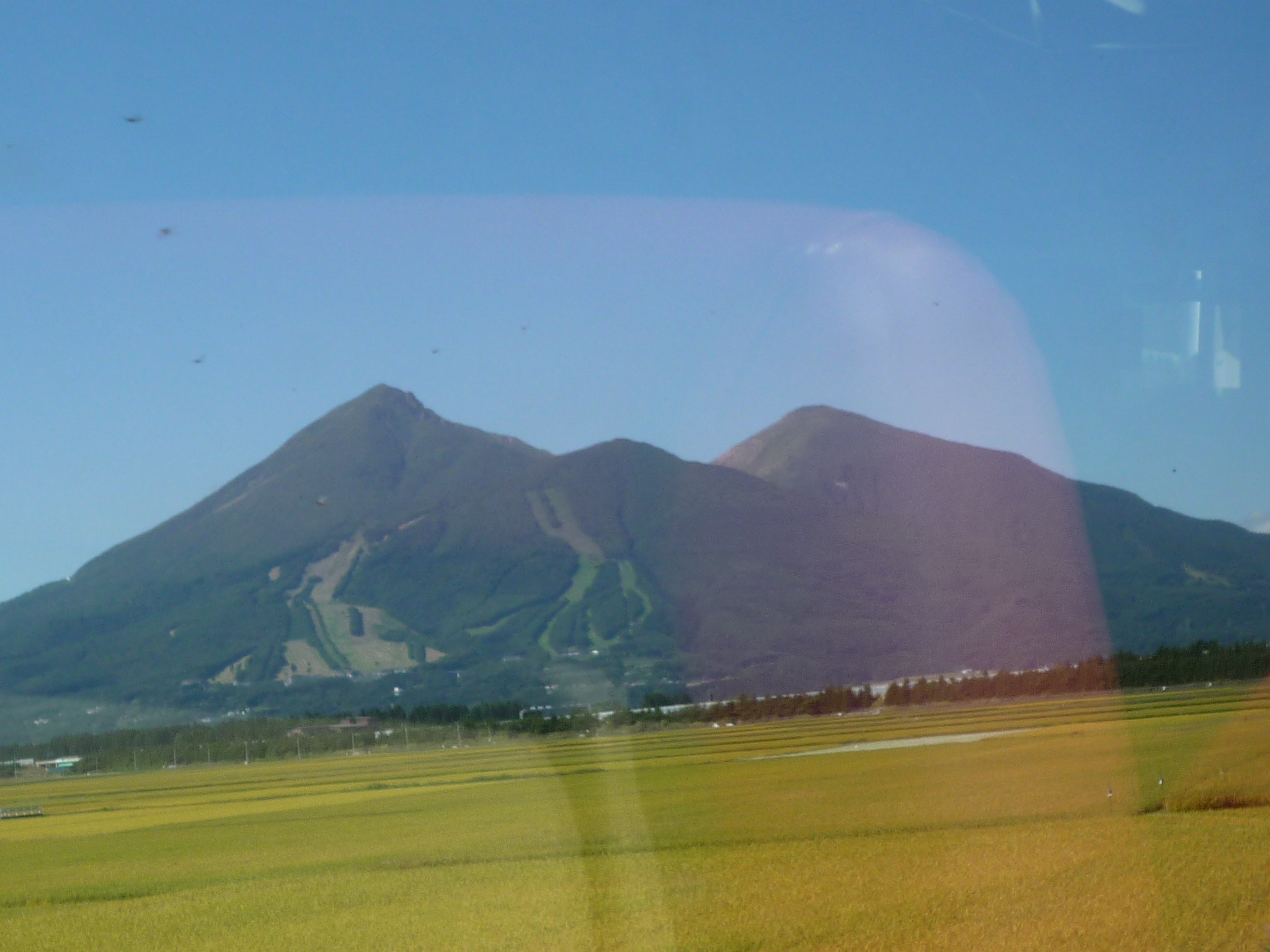 P1120145-fx37