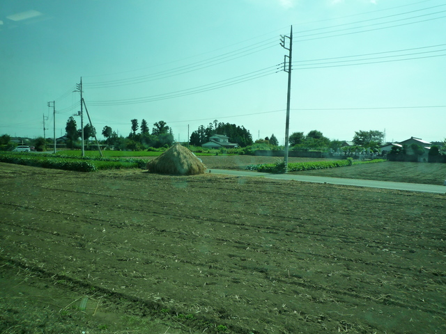 P1120077-fx37