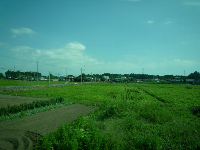 P1120079-fx37