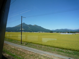 P1120146-fx37.JPG