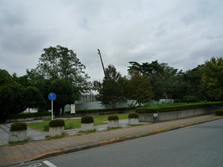 P1120772-fx37.JPG