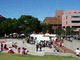 P1130228-fx37.JPG