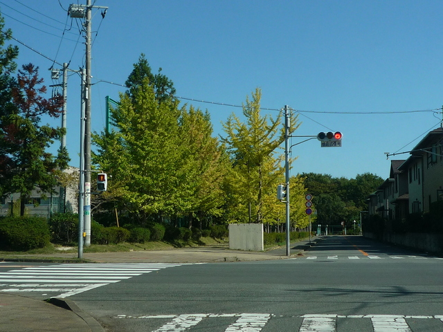 P1130243-fx37