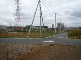 P1150125-fx37.JPG