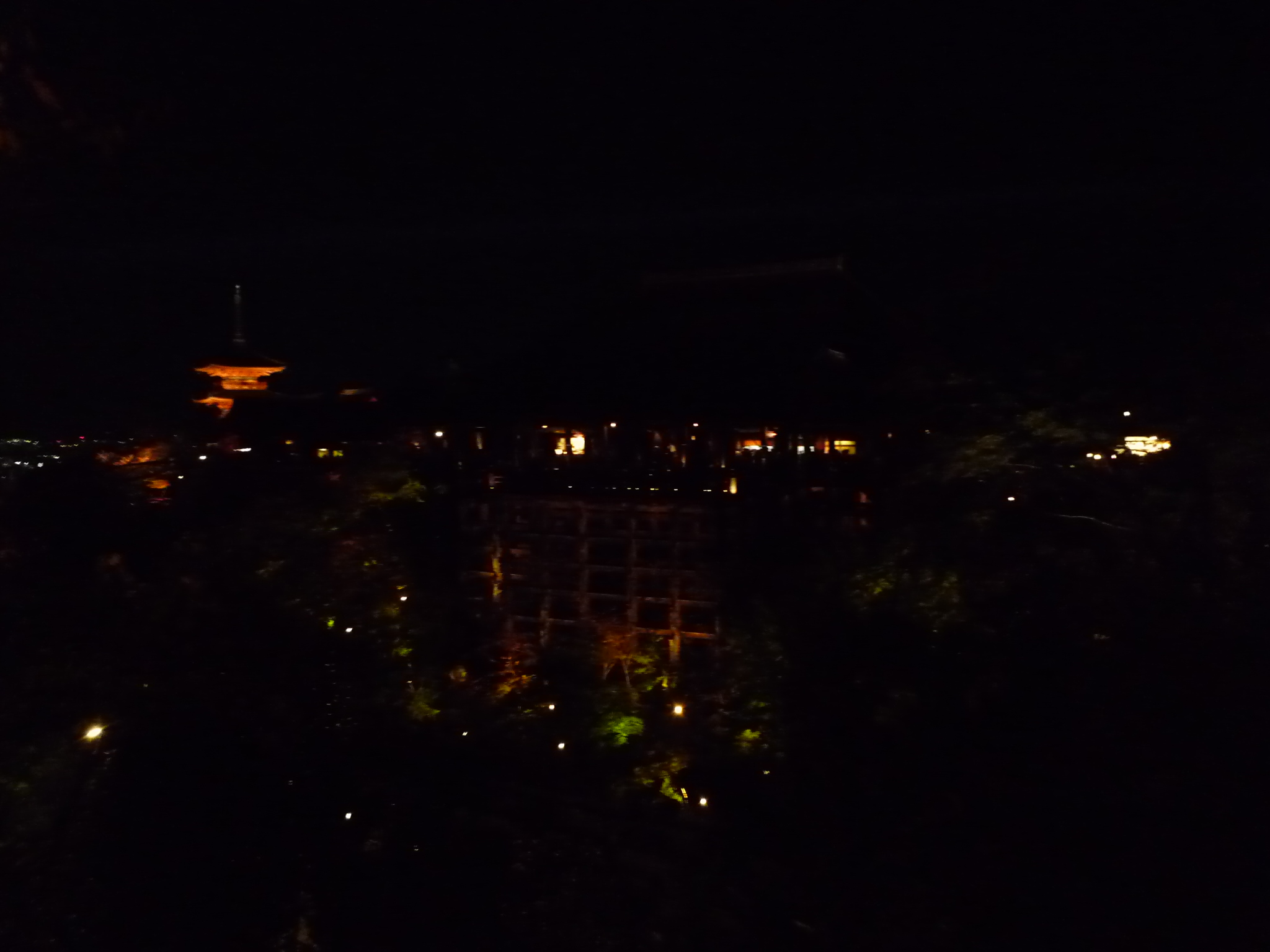 P1150638-fx37