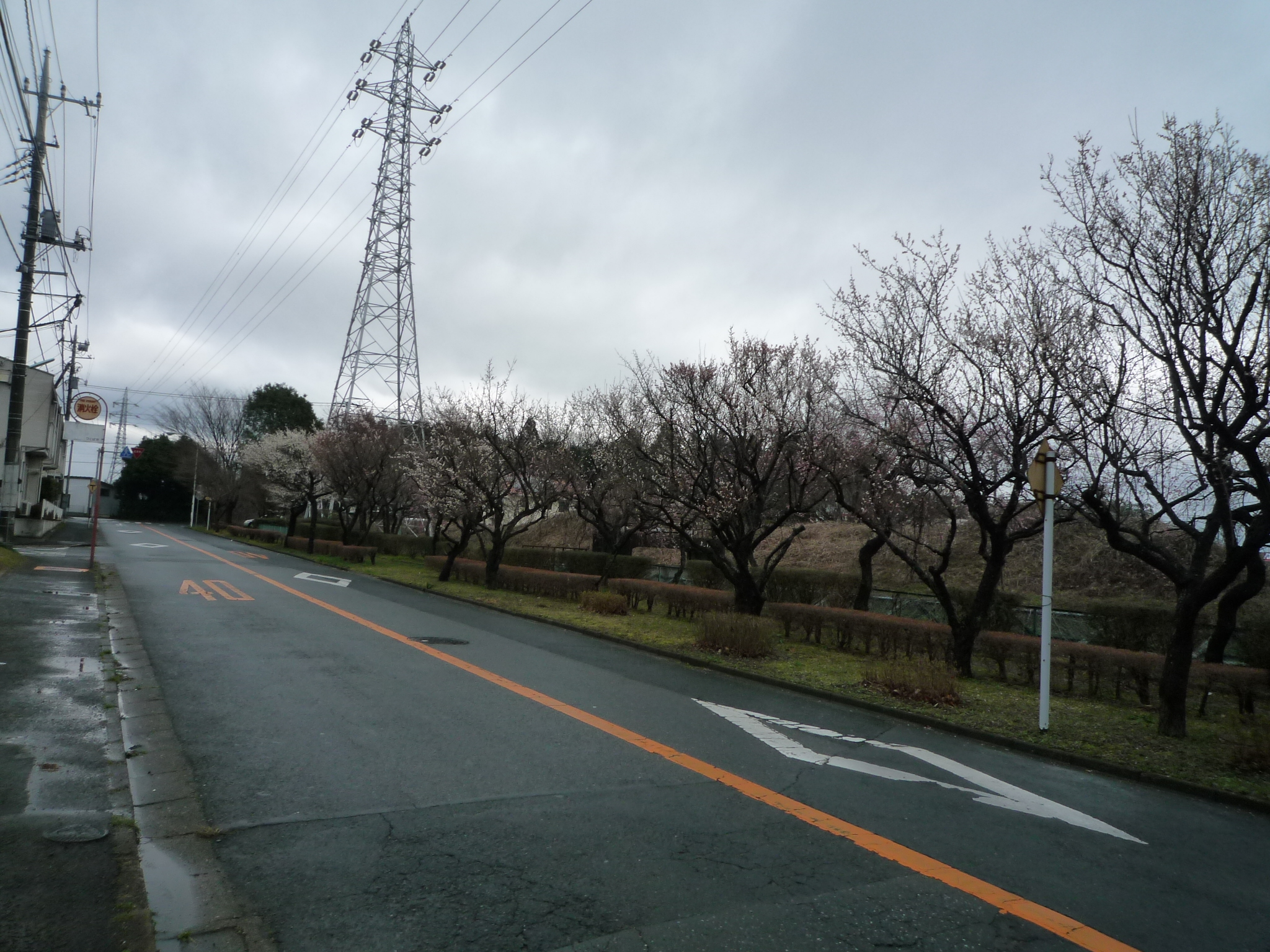 P1200164-fx37