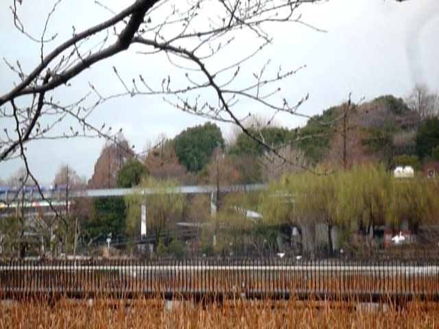 P1200172-fx37#000000