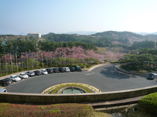 P1230543-fx37.JPG
