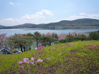 P1230582-fx37.JPG