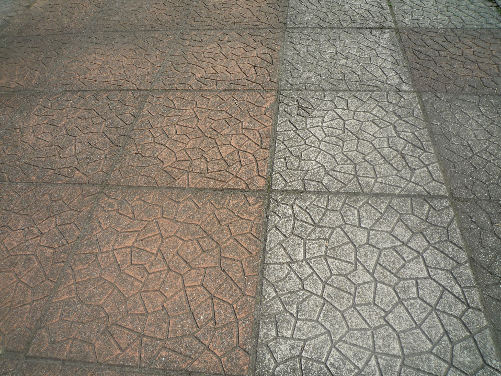 P1240113-fx37