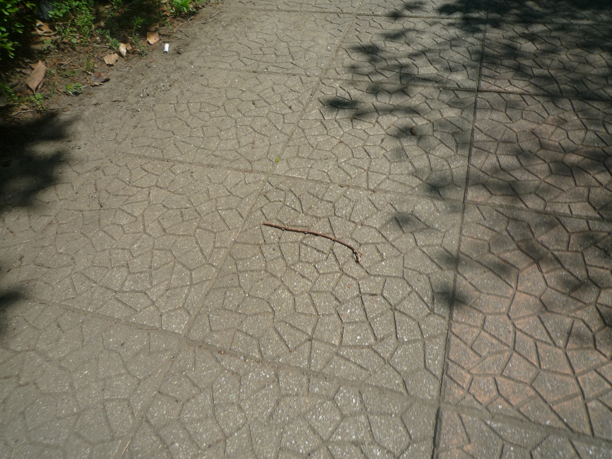 P1240121-fx37