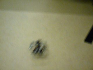 P1240371-fx37.JPG