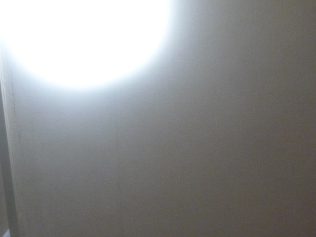 P1240798-fx37