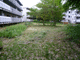 P1240861-fx37.JPG