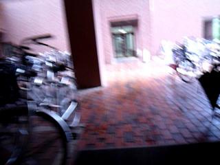 P1250242-fx37.MOV#000015